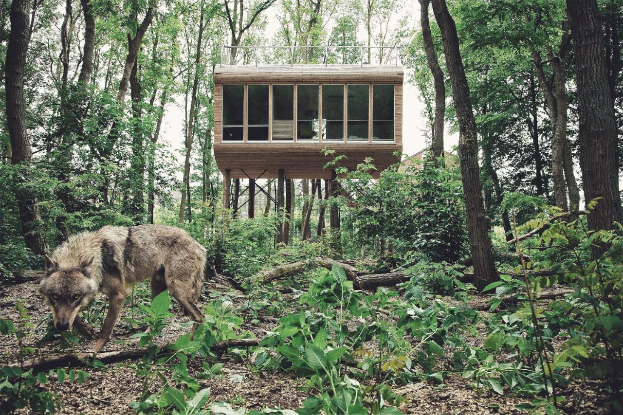 Tree Inn - Das Baumhaushotel Dörverden Eksteriør billede