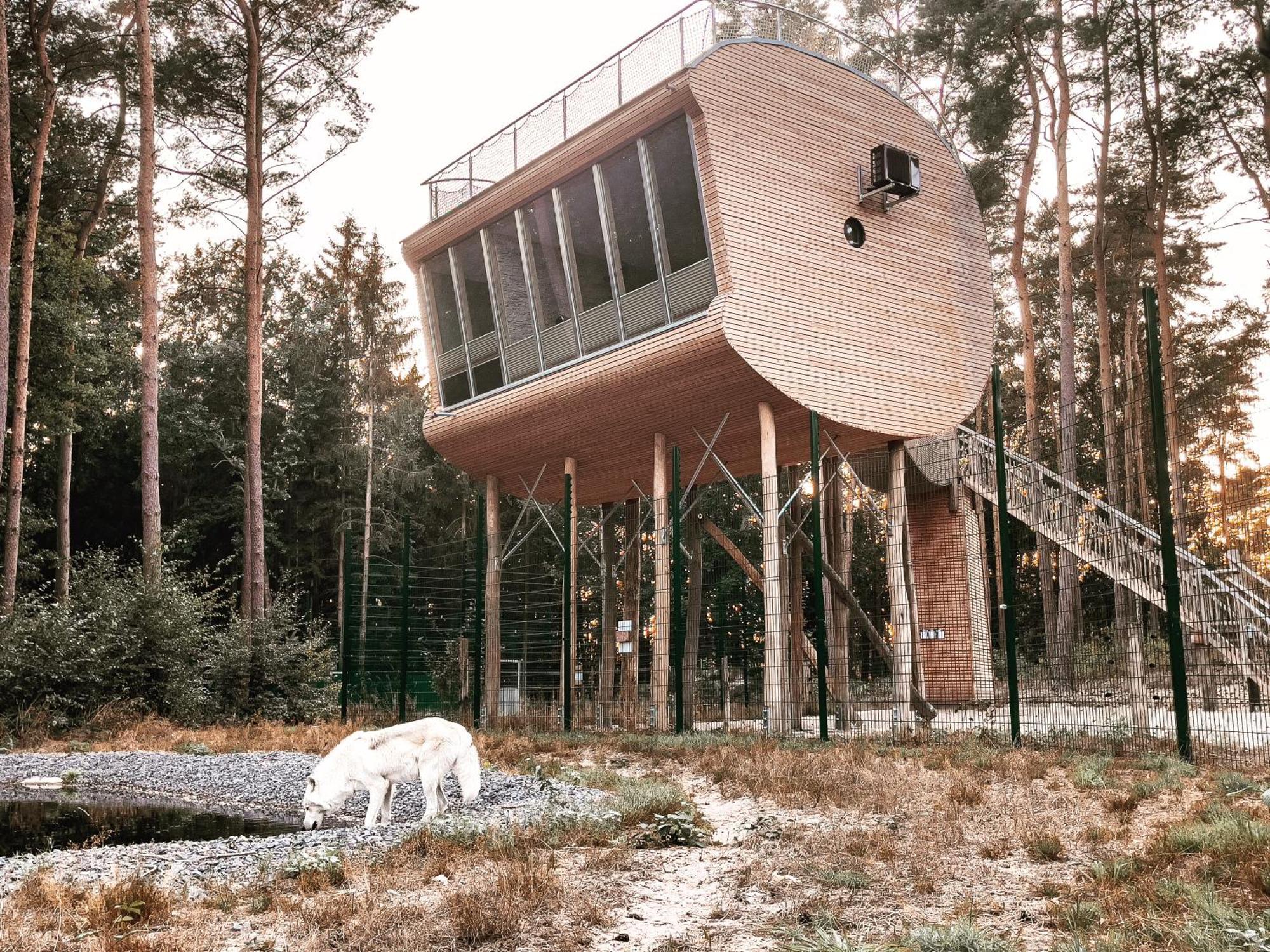Tree Inn - Das Baumhaushotel Dörverden Eksteriør billede