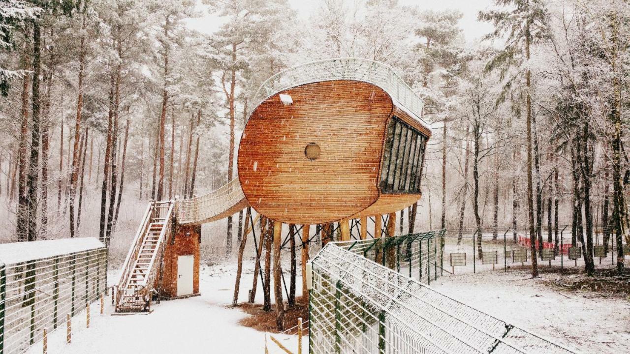 Tree Inn - Das Baumhaushotel Dörverden Eksteriør billede