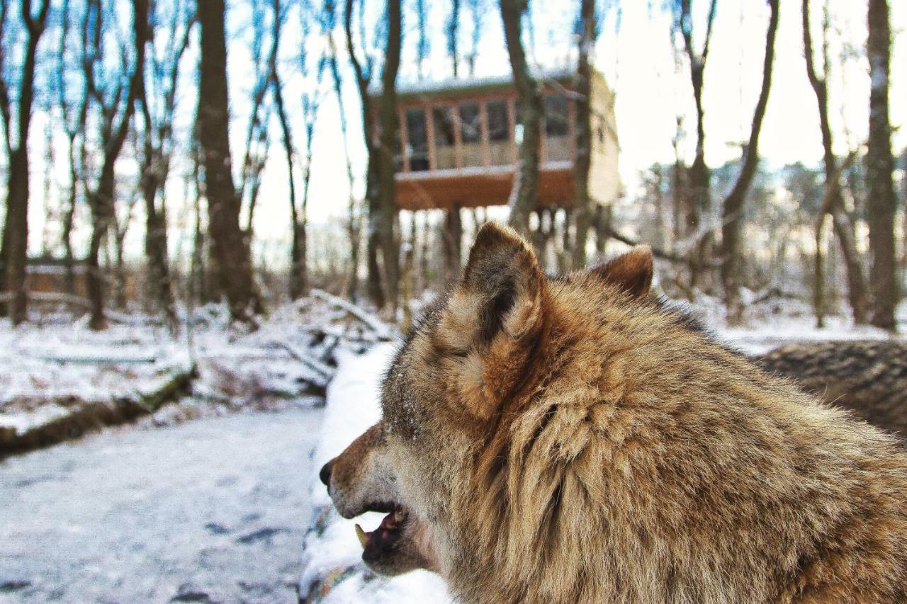 Tree Inn - Das Baumhaushotel Dörverden Eksteriør billede